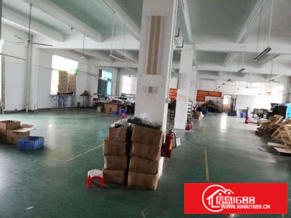 [坪山厂房]坪山石井新出436平独院标准厂