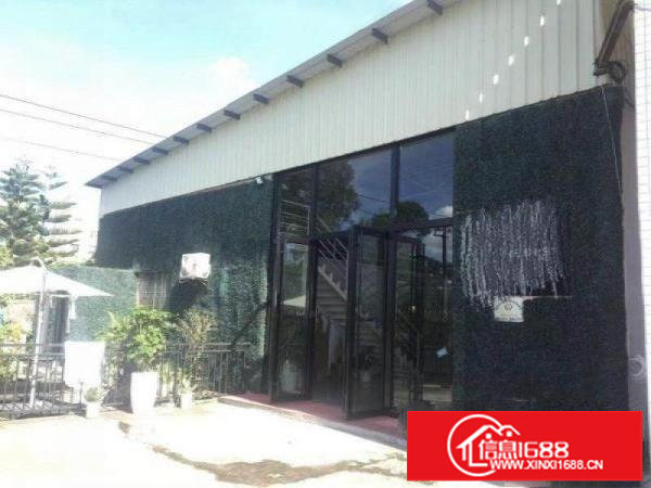 龙岗高速出口附近现成影棚底价转让1200平米钢构7米