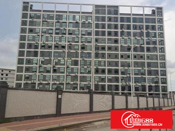 大岭山杨屋新出二楼豪华装修厂房850平米招租