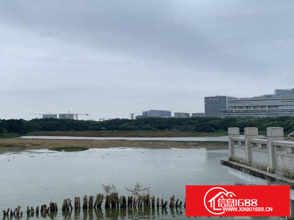 寮步金园科创全新精装带5吨货梯直租