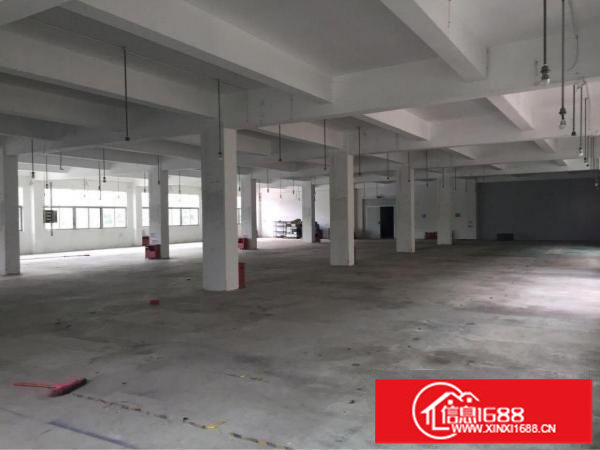 龙华观澜新塘龙观快线边1100平小面积厂房业主直租