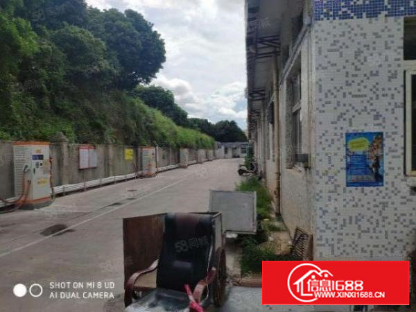 塘头一楼300平，现成两个办公室，可拎包入住。