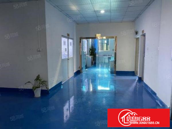 出租|观澜梅观高速口新出楼上850平方厂房豪华装修