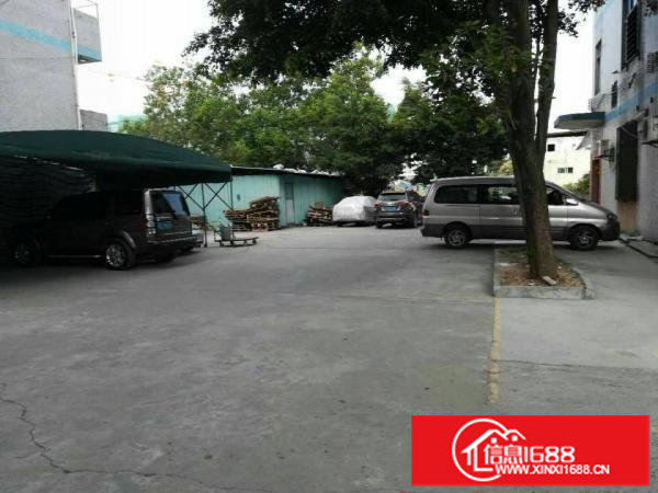 龙岗平湖独门独院厂房分租一二楼带装修带行车厂房