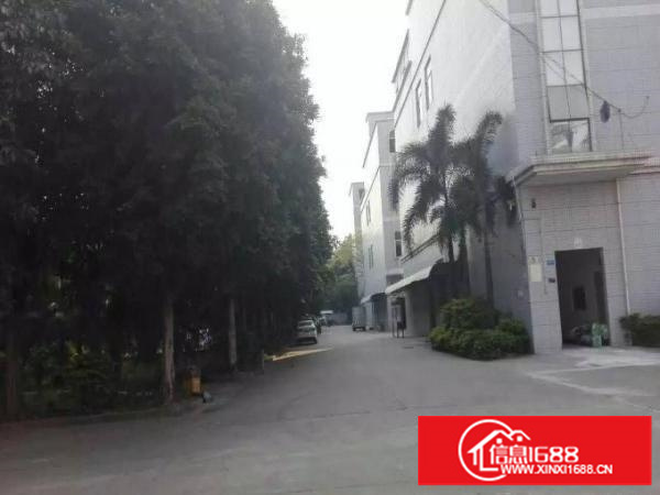 观光路边梅观高速出口桂花小学旁边二楼700平出租