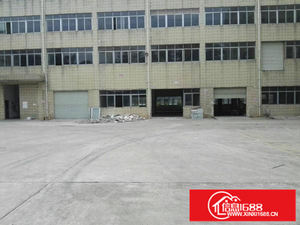 出租惠阳新墟标准一楼5.3米高550平方厂房