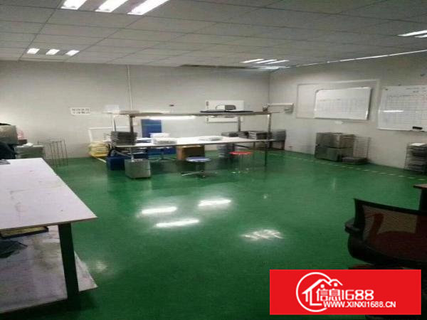 （出租）凤深大道边标准厂房三楼一层共2500平方