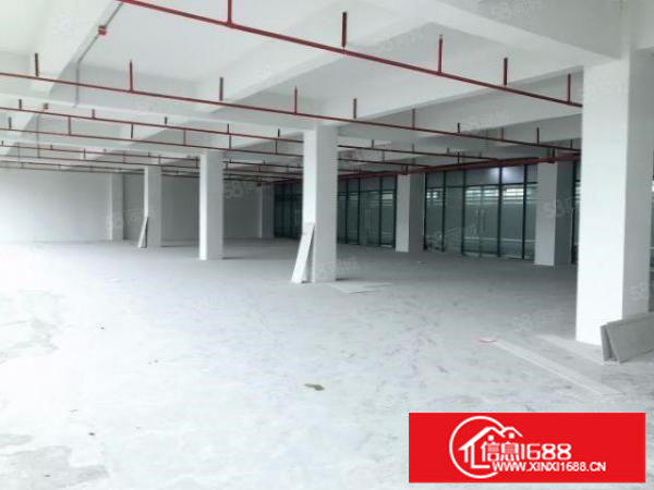 观澜湖新城原房东厂房，仓库一楼3200平米带装修出租可分租