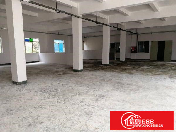 横岗荷坳金源路独院厂房一二楼2500出租