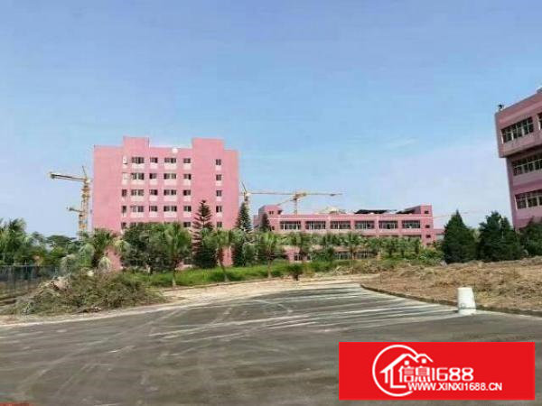 坪山横坪路旁标准独院厂房整层层3900平米招租（可分）