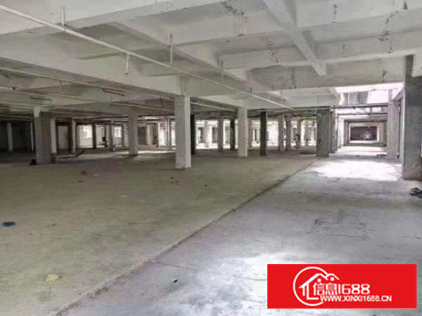 东莞6元/平方的厂房你见过吗