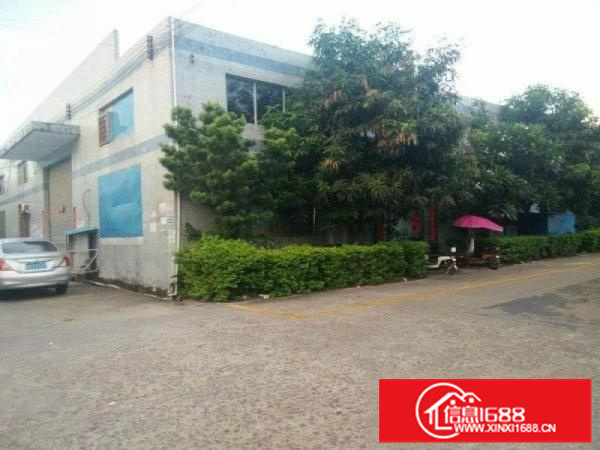 惠阳秋长原房东钢构600平出租无公摊滴水7米带装修配电按需