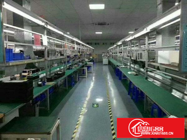 龙岗五联原房东标准一楼700平米厂房招租