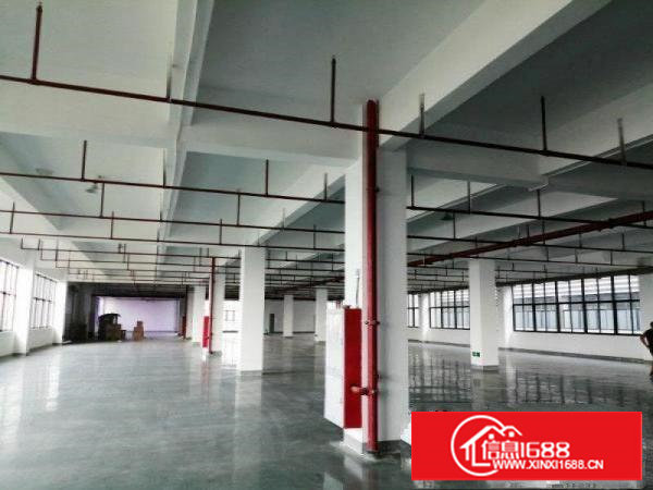 塘厦林村原房东直租标准2楼2000平方！可分租！实际面积出租