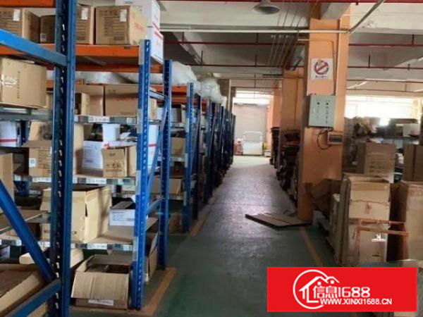 3150方带地坪漆办公室独院高大上厂房