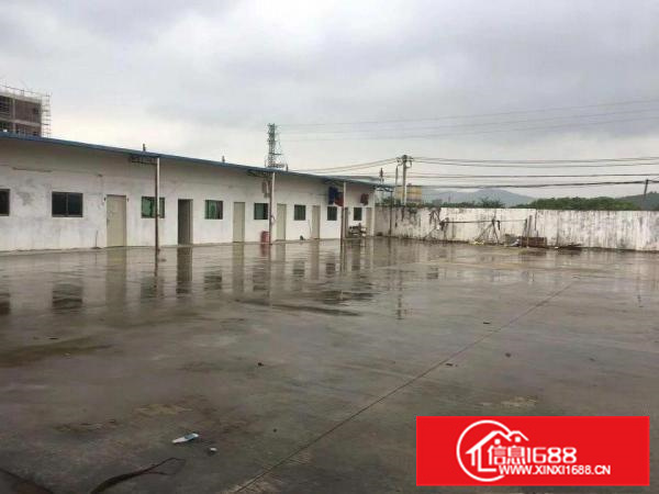 大亚湾石化大道旁独门独院钢构厂房，空地贼大。