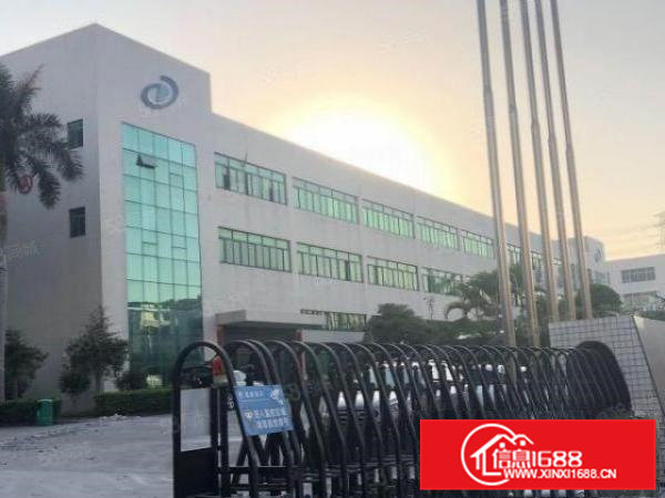 凤岗雁田靠深圳新出村委楼上3000平厂房仓库出租，大小可分租