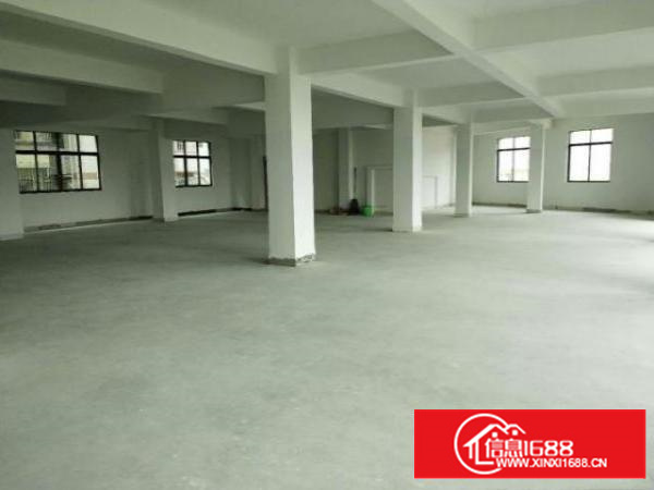 万江新出独院标准楼房厂房宿舍5600平方出租