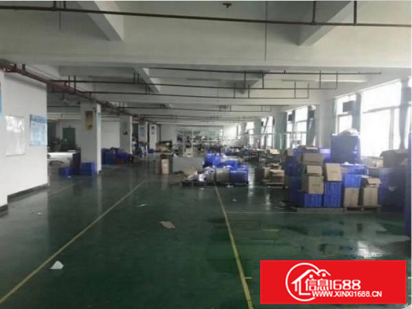 大岭山镇高速出囗原房东可办环评独院厂房出租