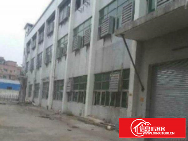 清盘啦！清盘啦！万江简沙洲一楼精装办公室500平底价租