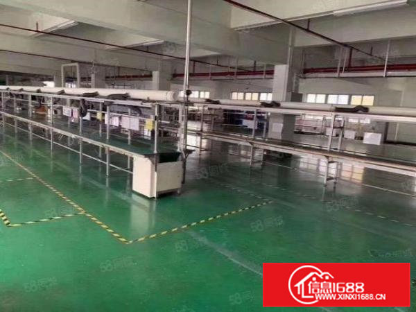 急租16块原房东全新独院8000平米，水电齐全，空地大