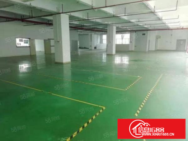 龙岗地铁口原房东楼上2000平带装修实际面积厂房出租可分租