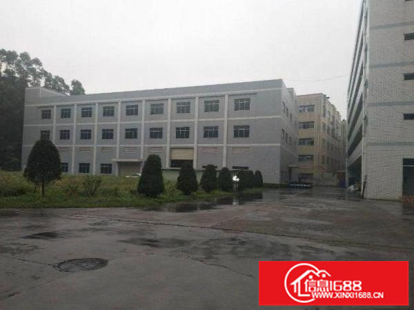 出租龙岗区龙西新出原房东标准厂房楼上1200平有现成装修