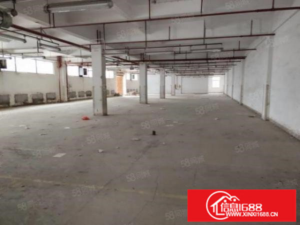 观澜新出原房东一楼厂房出租5000平方使用率高空地大