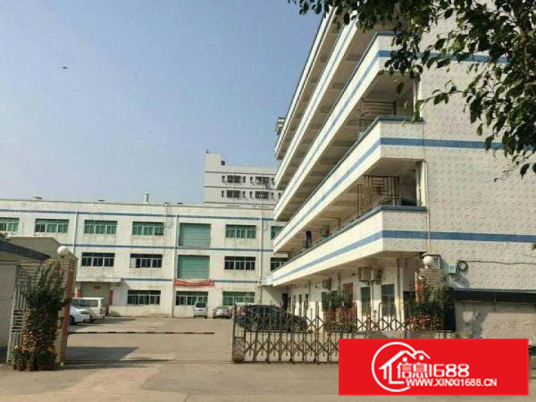 出租凤岗镇金凤凰工业区