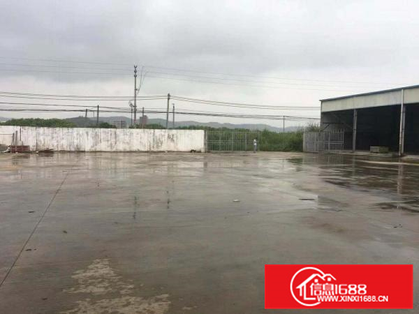 大亚湾石化大道旁独门独院钢构厂房，空地贼大。