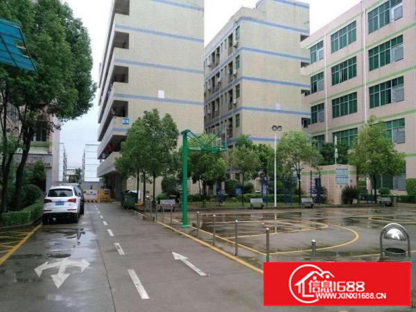 横岗厂房出租1450平2350平3450平空地大带装修可分