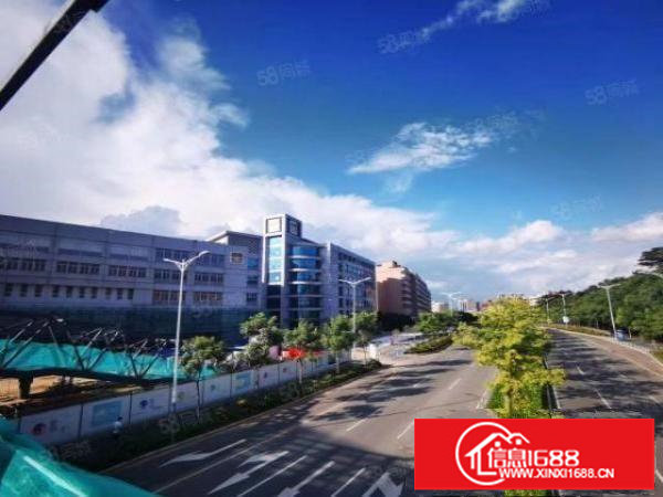 业主直租可办公可生产红本带消防厂房出租免租3个月