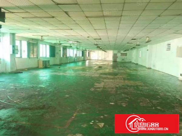 长安镇厦岗社区房东直租标准独院3580平空地大,交通方便