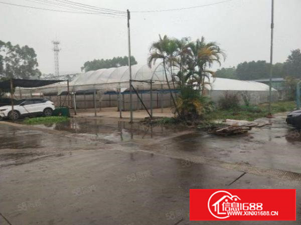 谢岗已硬化水泥2700平方空地出租三通