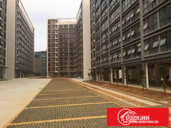 坪地低碳产业园带红本分栋、分层及政府3 2补贴招租