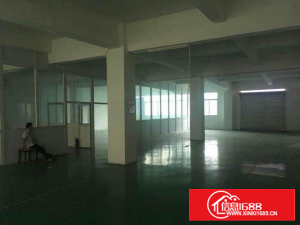 实拍！沙湖260平方精装修办公室 400和1100平楼上厂房