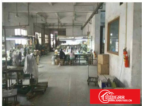 平湖清平高速新出标准一楼1400平方有装修