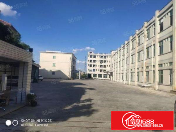 常平新空出3600平全新地评漆带水电空地超大可免费使用