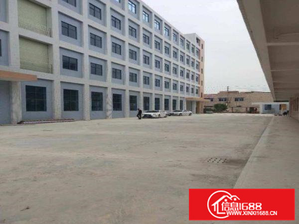 龙眼工业区原房东一楼900平方出租原房东可办环评