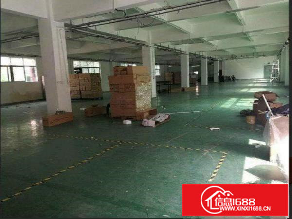 出租坪山新区三洋湖独院标准一楼900平方现成水电装修