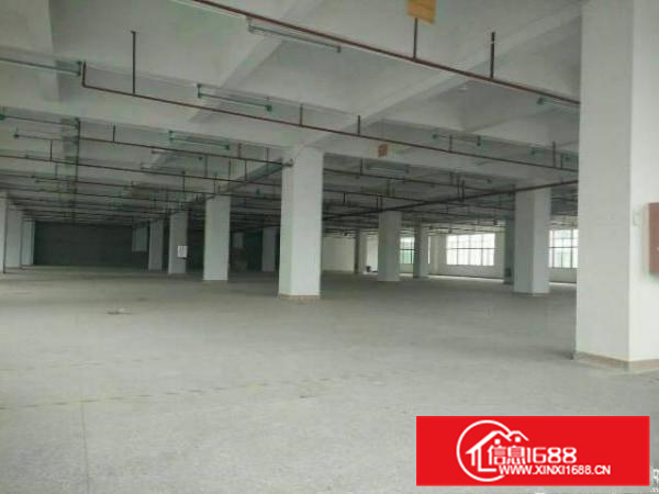 惠阳新圩新出标准厂房面积1000平米有消防喷淋