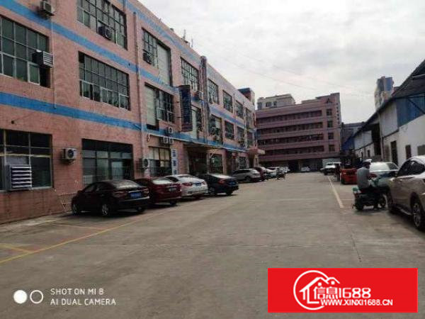 原房东（新出）长安乌沙新安大桥附近480平带装修厂房