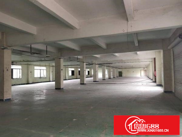 龙岗南联独院厂房12000平招租大小分租空地超大位置超好