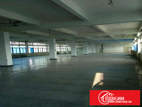 《可做污染》惠阳新圩新出可做污染独院厂房招租，电大