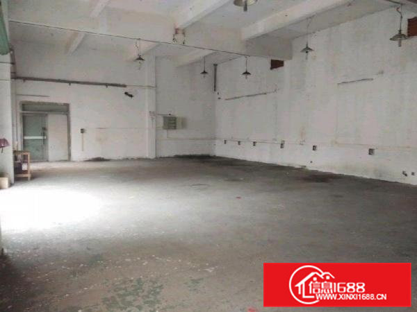 常平镇漱新村常马路边标准厂房一楼350平