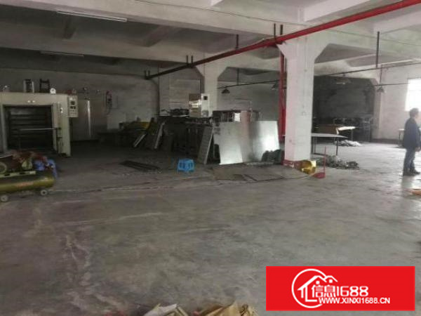 实力房东，业主！里水500;650;850;1千平方一楼厂房