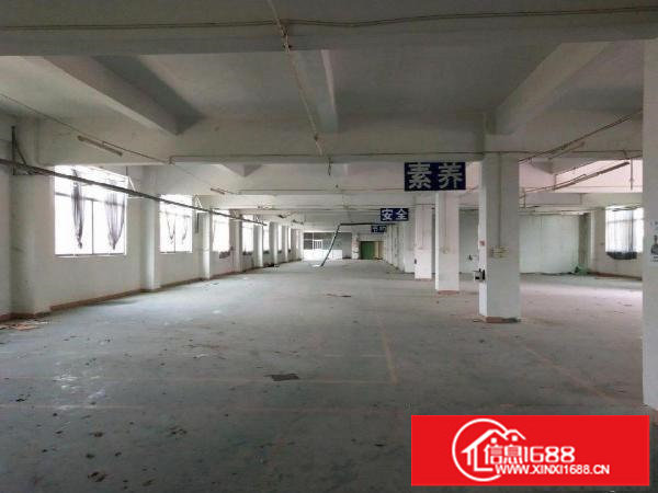 坪地六联独院厂房5460平米可分租