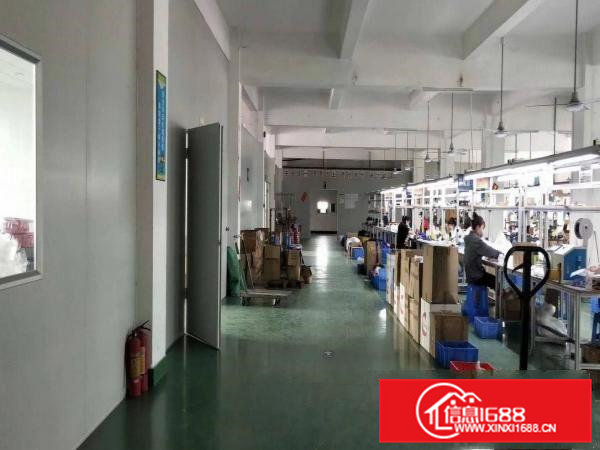 东坑镇新出楼上精装修小面积厂房