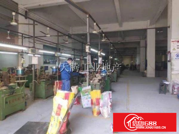 可过环保！勒流独院2800方标准首层出租！大路边