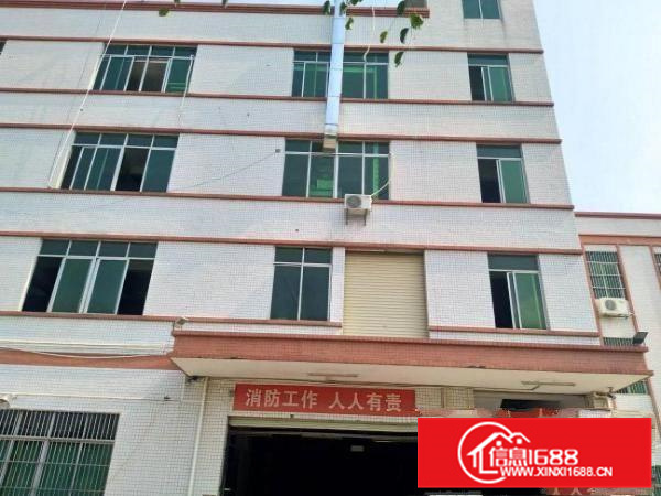 靓盘大亚湾新出工业园2楼1200平代装修